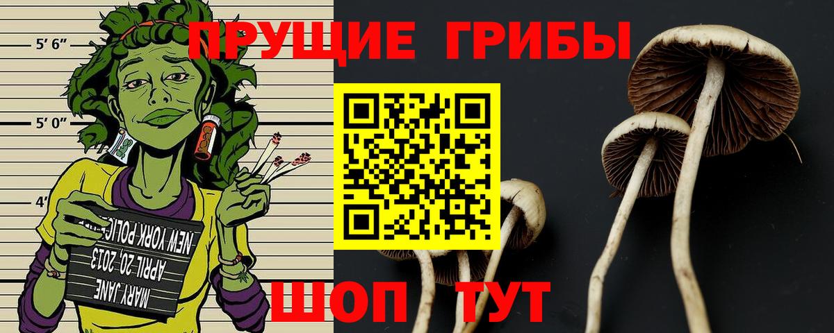 Галлюциногенные грибы Cubensis  Вход с VPN  Губкинский 