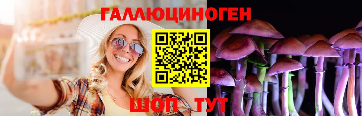 Псилоцибиновые грибы Psilocybine cubensis Губкинский